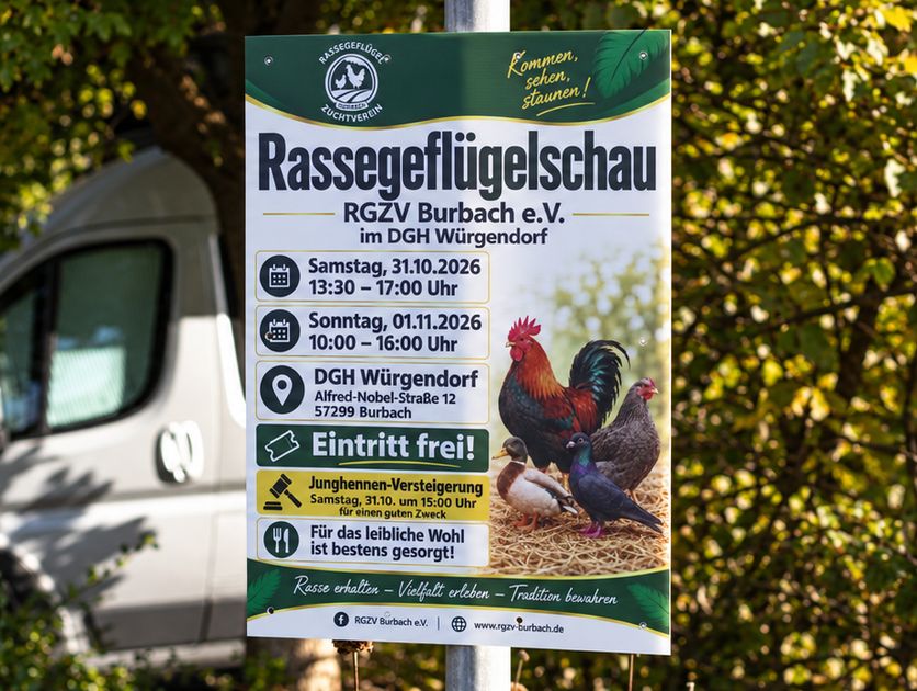 Wetterfestes Plakat auf Hohlkammerplatte f&uuml;r die Rassegefl&uuml;gelschau des RGZV Burbach e.V. &ndash; Druck von hdw.media